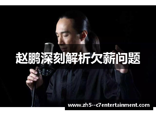 赵鹏深刻解析欠薪问题 赵鹏深刻解析欠薪问题